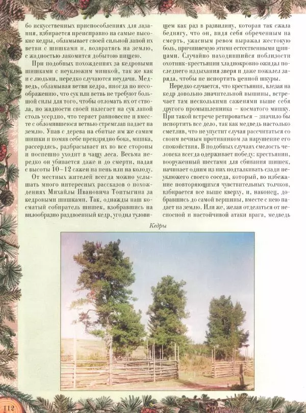 Дмитрий Кайгородов - Беседы о русском лесе - Страница № 112