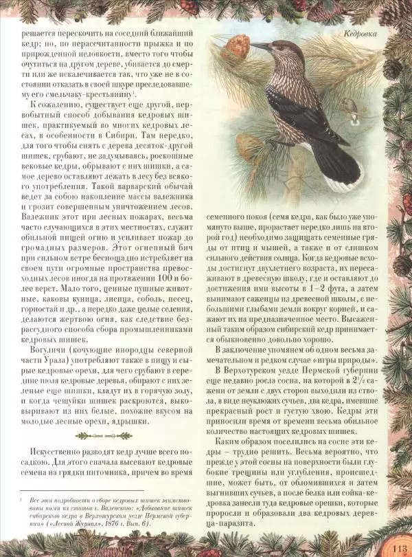 Дмитрий Кайгородов - Беседы о русском лесе - Страница № 113