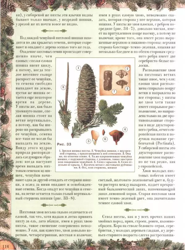 Дмитрий Кайгородов - Беседы о русском лесе - Страница № 116