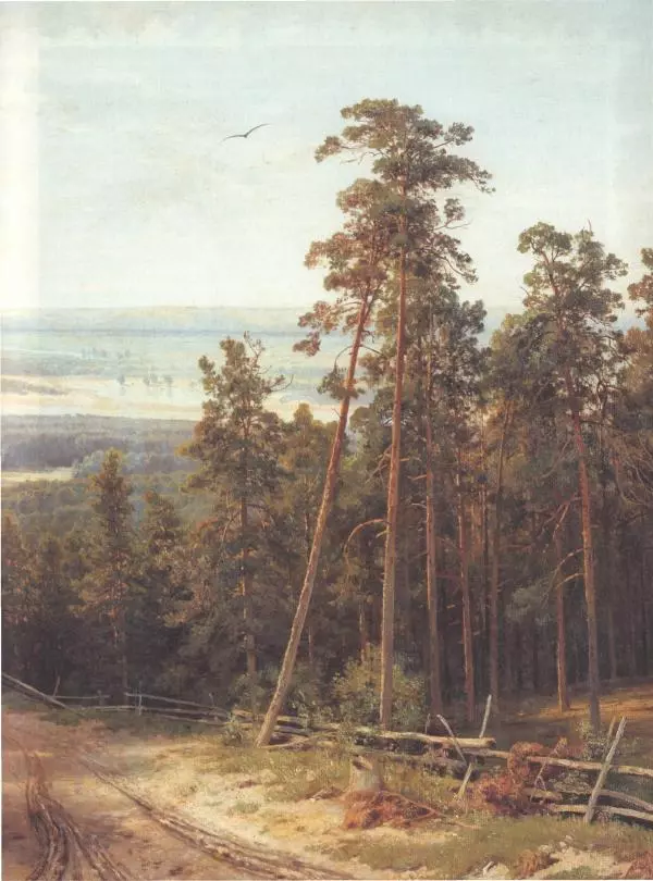 Дмитрий Кайгородов - Беседы о русском лесе - Страница № 119