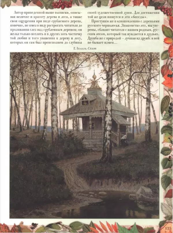 Дмитрий Кайгородов - Беседы о русском лесе - Страница № 135