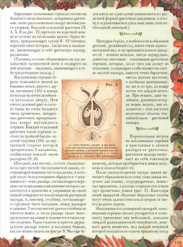 Дмитрий Кайгородов - Беседы о русском лесе - Страница № 139