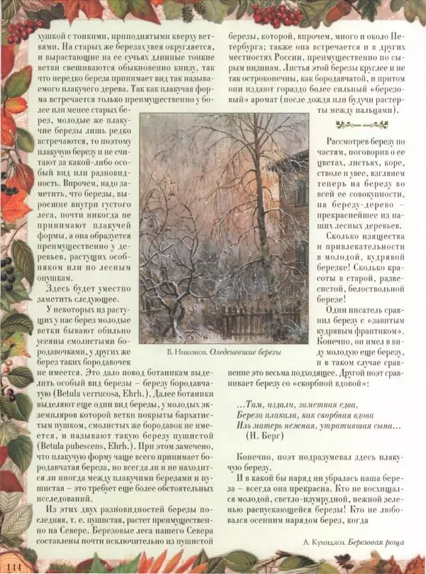 Дмитрий Кайгородов - Беседы о русском лесе - Страница № 144