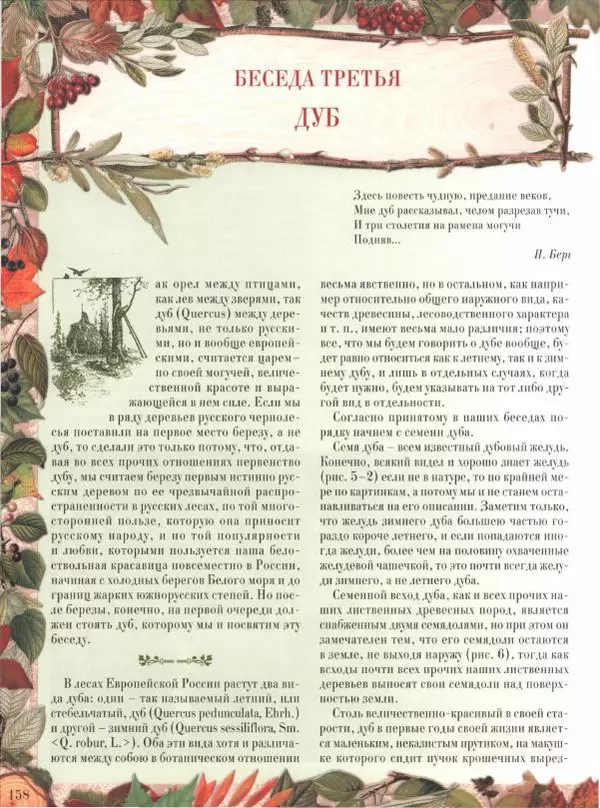 Дмитрий Кайгородов - Беседы о русском лесе - Страница № 158