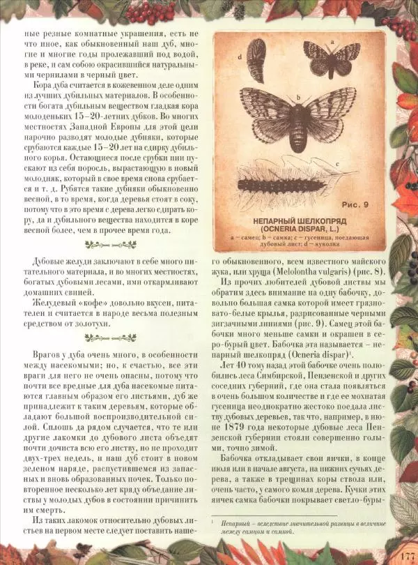 Дмитрий Кайгородов - Беседы о русском лесе - Страница № 177