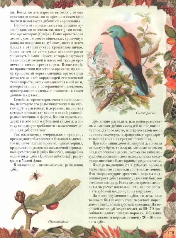 Дмитрий Кайгородов - Беседы о русском лесе - Страница № 179