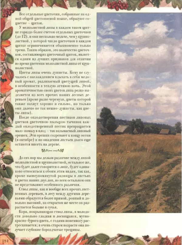 Дмитрий Кайгородов - Беседы о русском лесе - Страница № 184