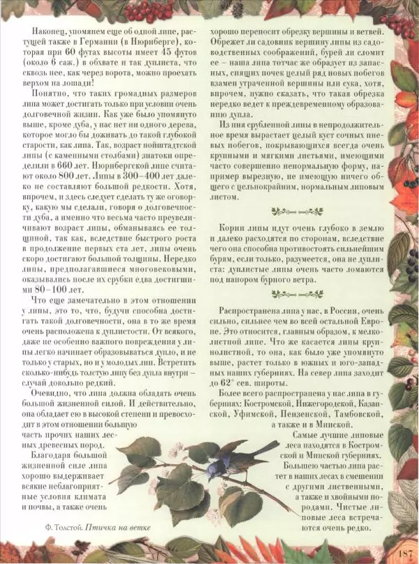 Дмитрий Кайгородов - Беседы о русском лесе - Страница № 187