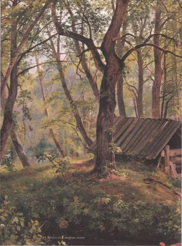 Дмитрий Кайгородов - Беседы о русском лесе - Страница № 192