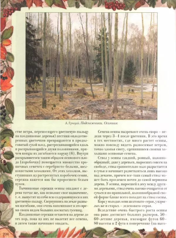 Дмитрий Кайгородов - Беседы о русском лесе - Страница № 206