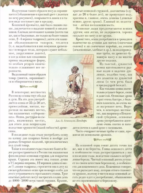 Дмитрий Кайгородов - Беседы о русском лесе - Страница № 213