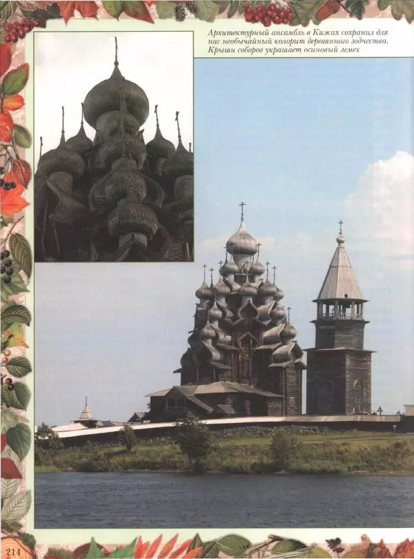 Дмитрий Кайгородов - Беседы о русском лесе - Страница № 214