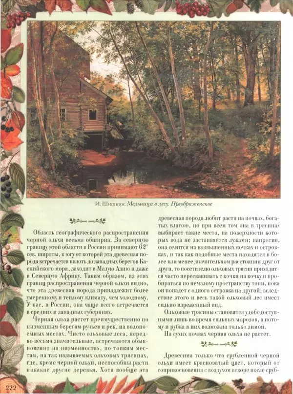 Дмитрий Кайгородов - Беседы о русском лесе - Страница № 222