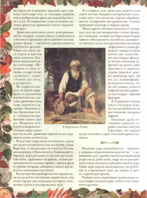 Дмитрий Кайгородов - Беседы о русском лесе - Страница № 224