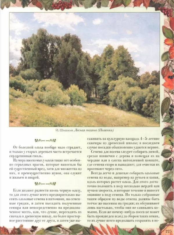 Дмитрий Кайгородов - Беседы о русском лесе - Страница № 225