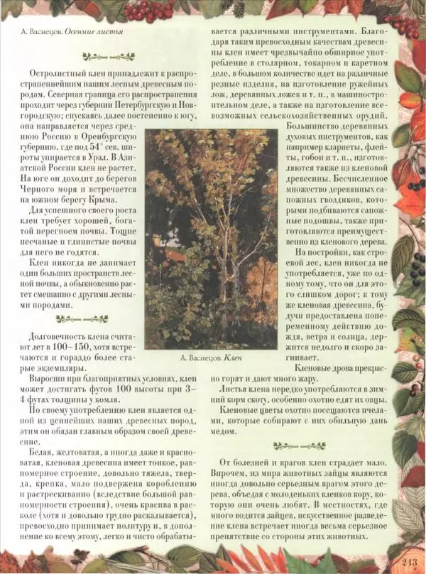 Дмитрий Кайгородов - Беседы о русском лесе - Страница № 243