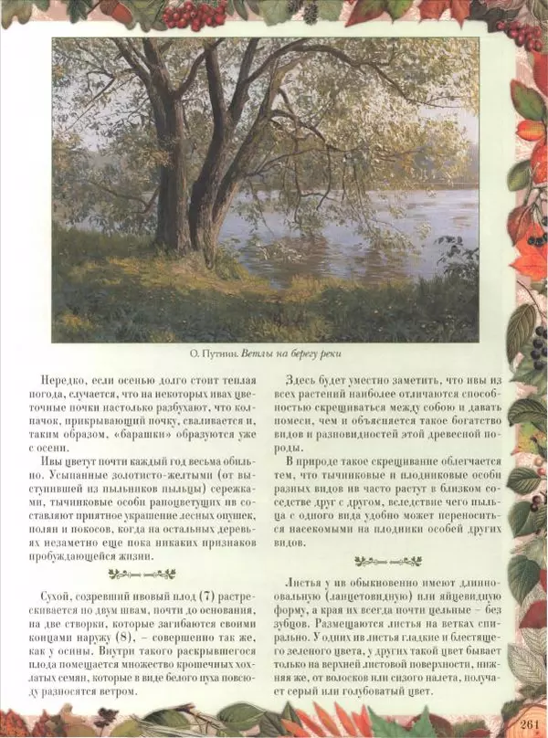 Дмитрий Кайгородов - Беседы о русском лесе - Страница № 261