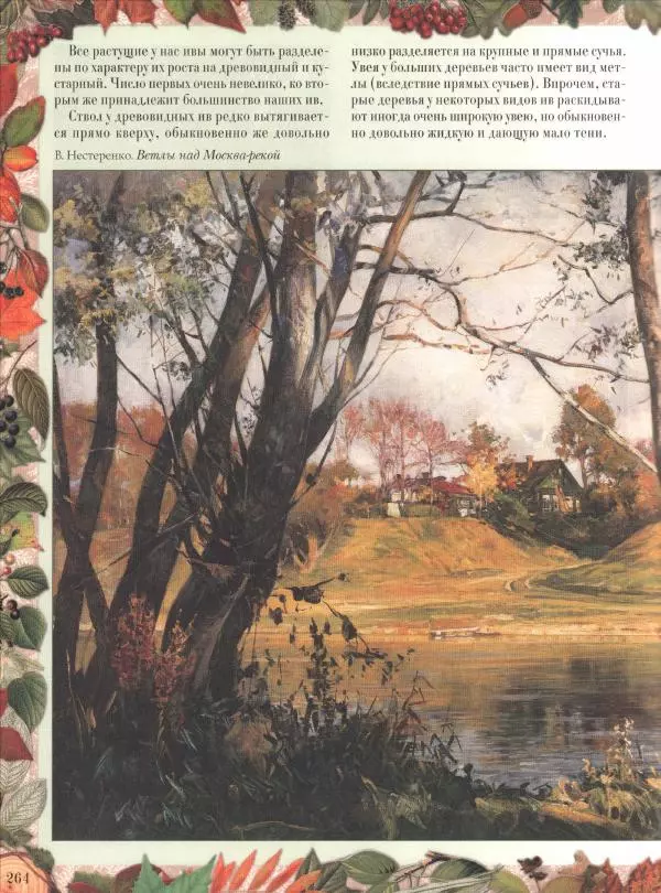 Дмитрий Кайгородов - Беседы о русском лесе - Страница № 264