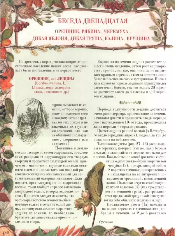 Дмитрий Кайгородов - Беседы о русском лесе - Страница № 286