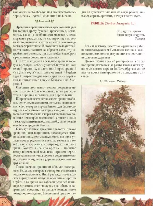 Дмитрий Кайгородов - Беседы о русском лесе - Страница № 290