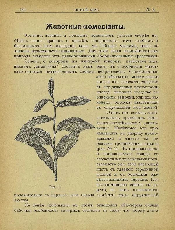  альманах «Детский мир» - Детский мир 1907 №06 - Страница № 6