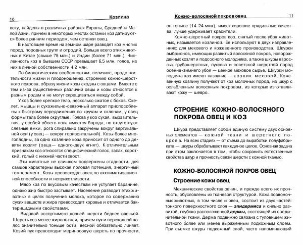 Светлана Бондаренко - Выделка шкур коз и овец и изготовление изделий из них - Страница № 6