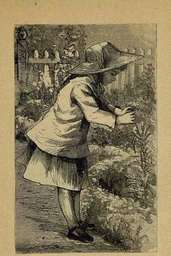 Анна Хвольсон - Садикъ-Малютка Насти и Коли - Страница № 21