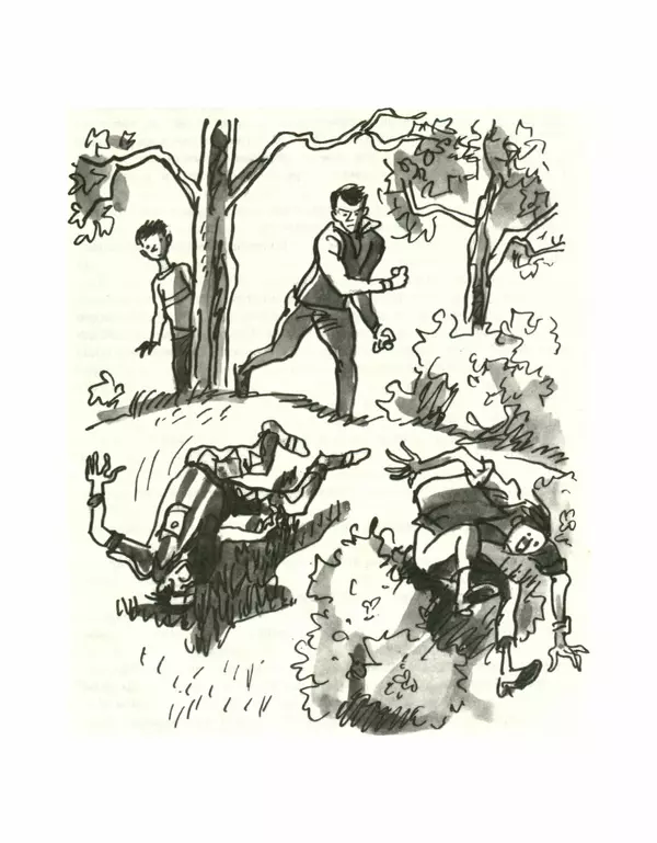 Всеволод Нестайко - Пятерка с хвостиком и другие веселые повести - Страница № 338