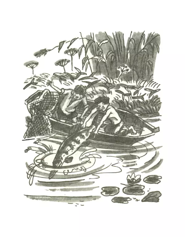 Всеволод Нестайко - Пятерка с хвостиком и другие веселые повести - Страница № 80