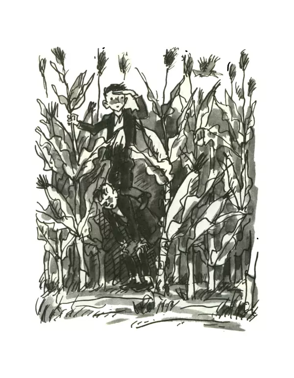 Всеволод Нестайко - Пятерка с хвостиком и другие веселые повести - Страница № 9