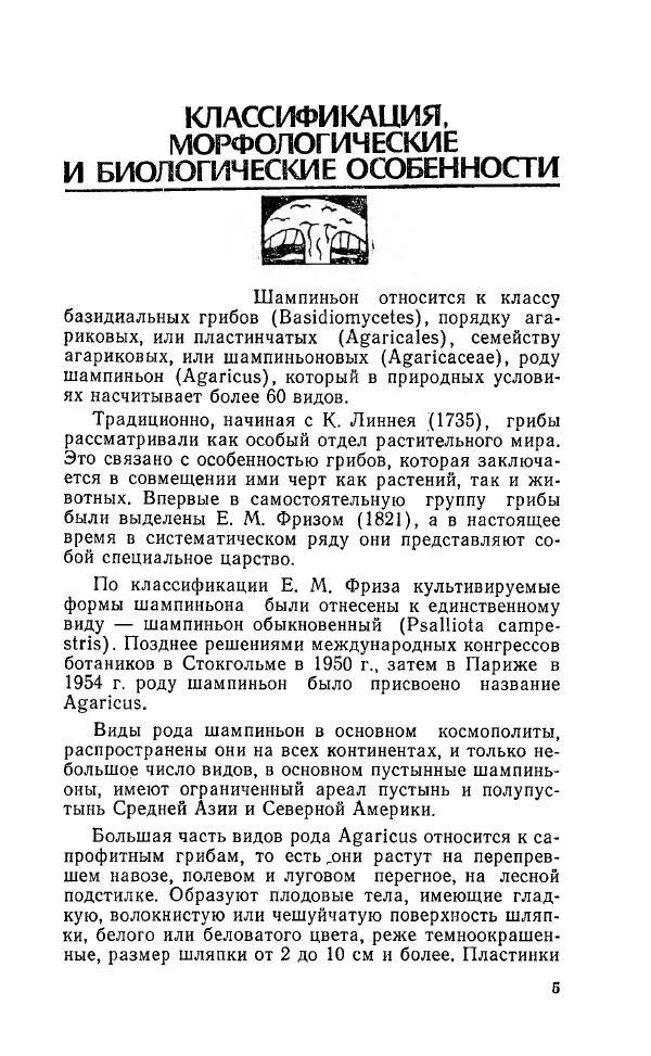 Л. Девочкин - Шампиньоны - Страница № 6