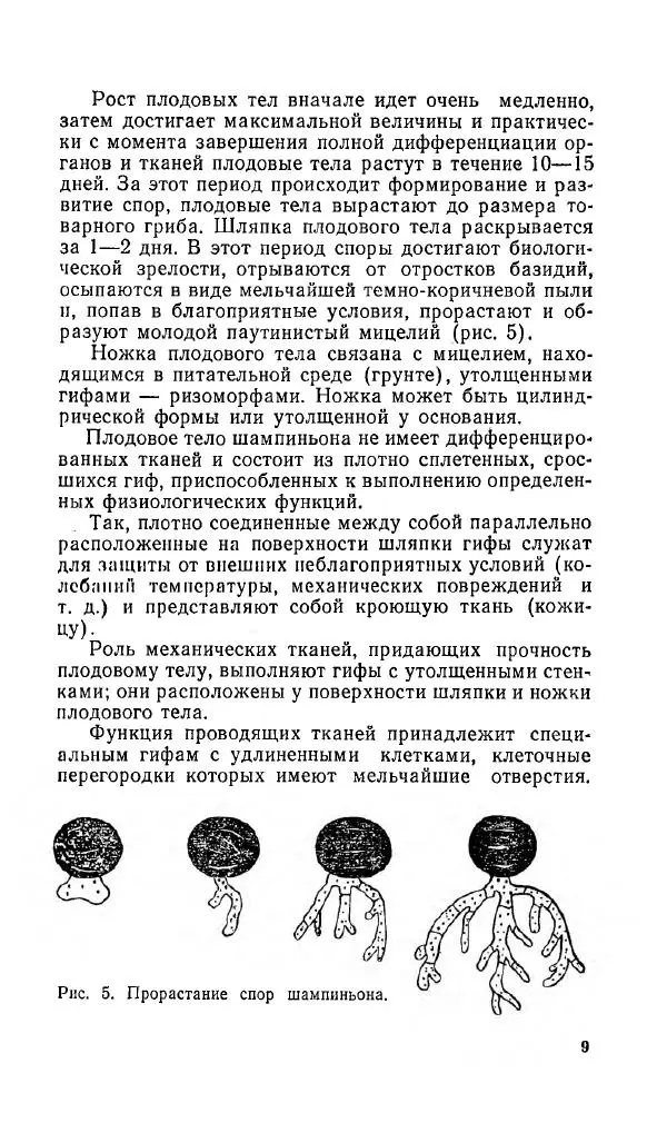 Л. Девочкин - Шампиньоны - Страница № 10