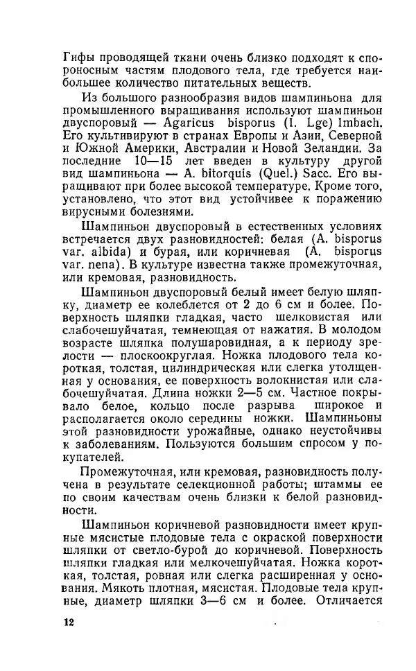 Л. Девочкин - Шампиньоны - Страница № 12