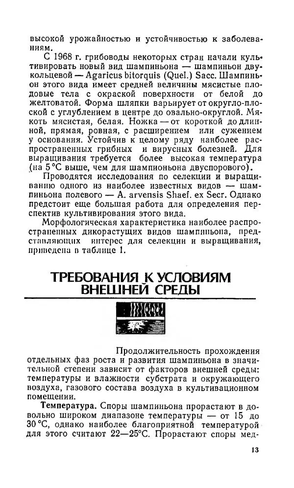 Л. Девочкин - Шампиньоны - Страница № 13