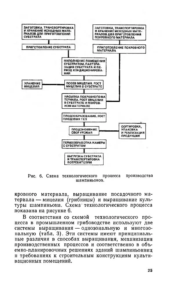 Л. Девочкин - Шампиньоны - Страница № 25
