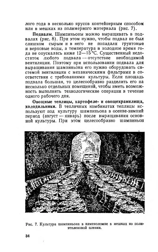 Л. Девочкин - Шампиньоны - Страница № 34