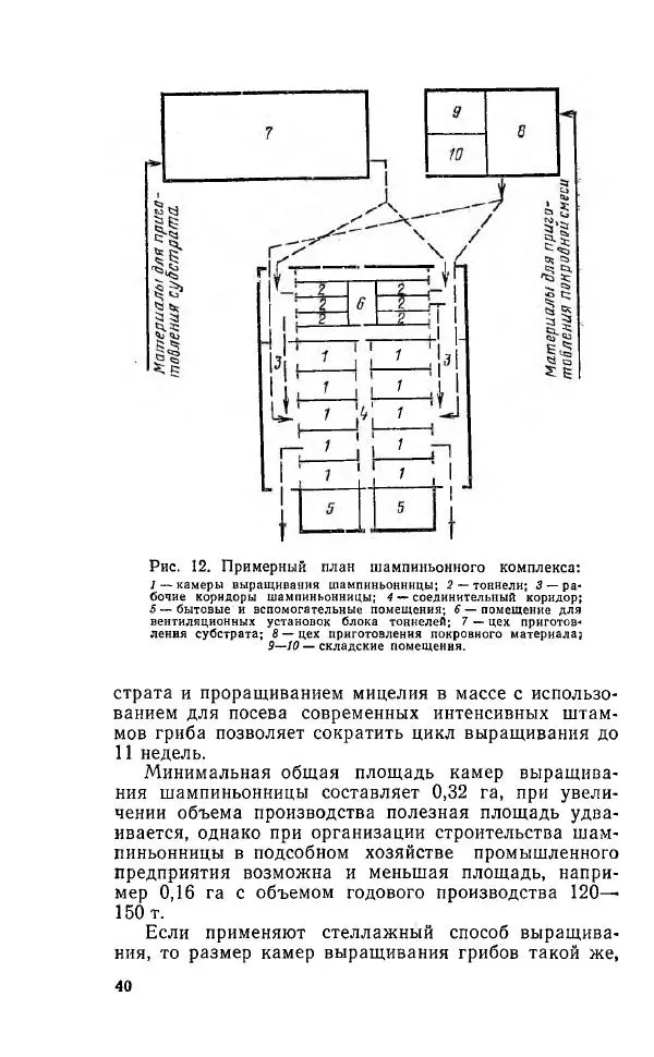 Л. Девочкин - Шампиньоны - Страница № 40