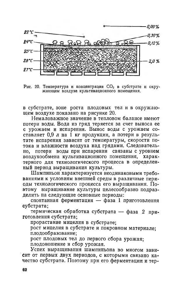 Л. Девочкин - Шампиньоны - Страница № 62