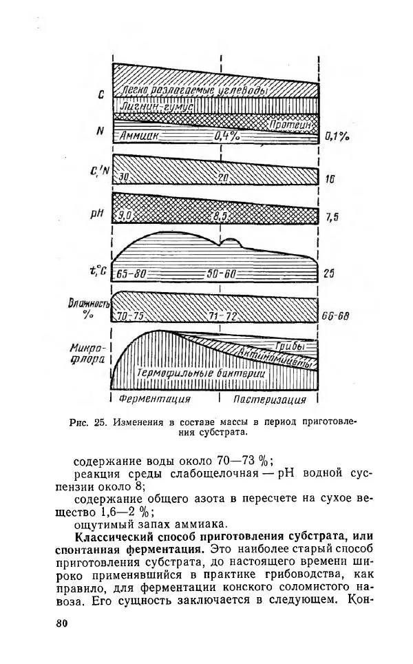 Л. Девочкин - Шампиньоны - Страница № 80