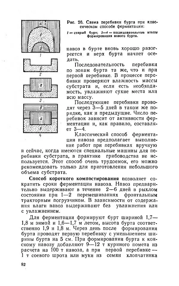 Л. Девочкин - Шампиньоны - Страница № 82