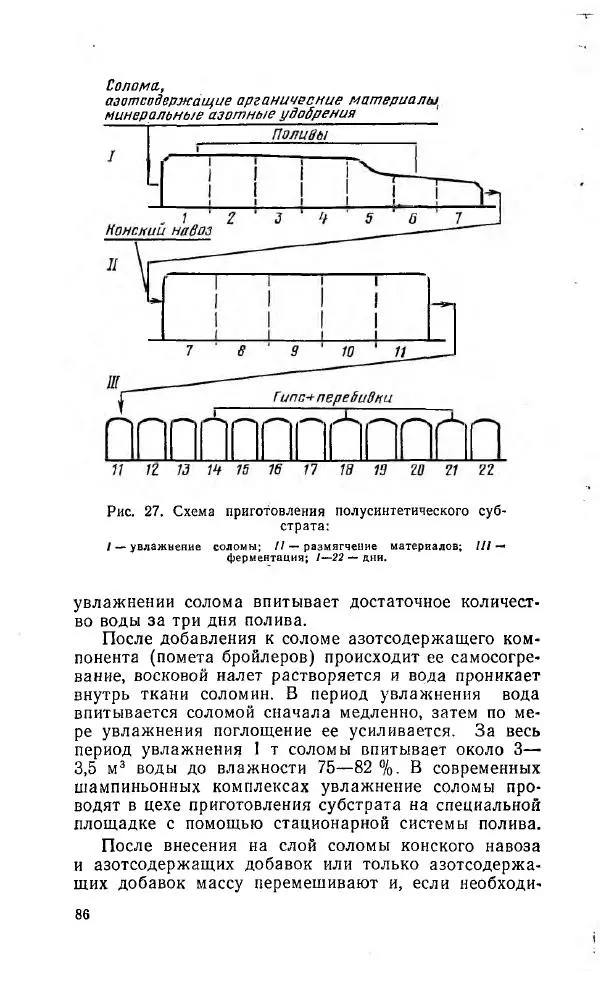Л. Девочкин - Шампиньоны - Страница № 86