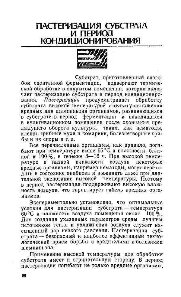 Л. Девочкин - Шампиньоны - Страница № 96