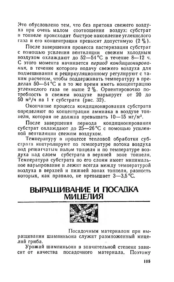 Л. Девочкин - Шампиньоны - Страница № 105