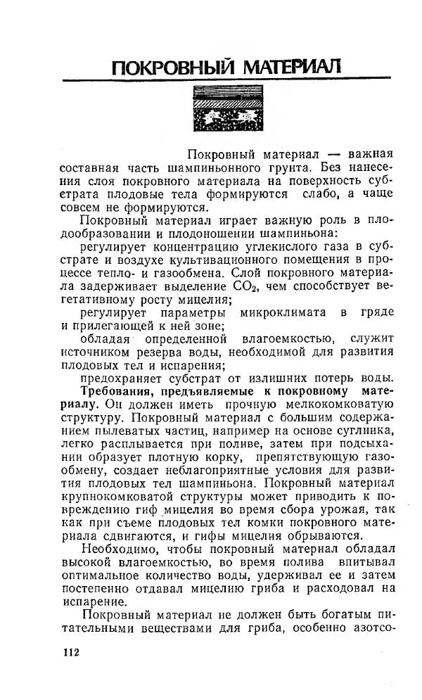 Л. Девочкин - Шампиньоны - Страница № 112