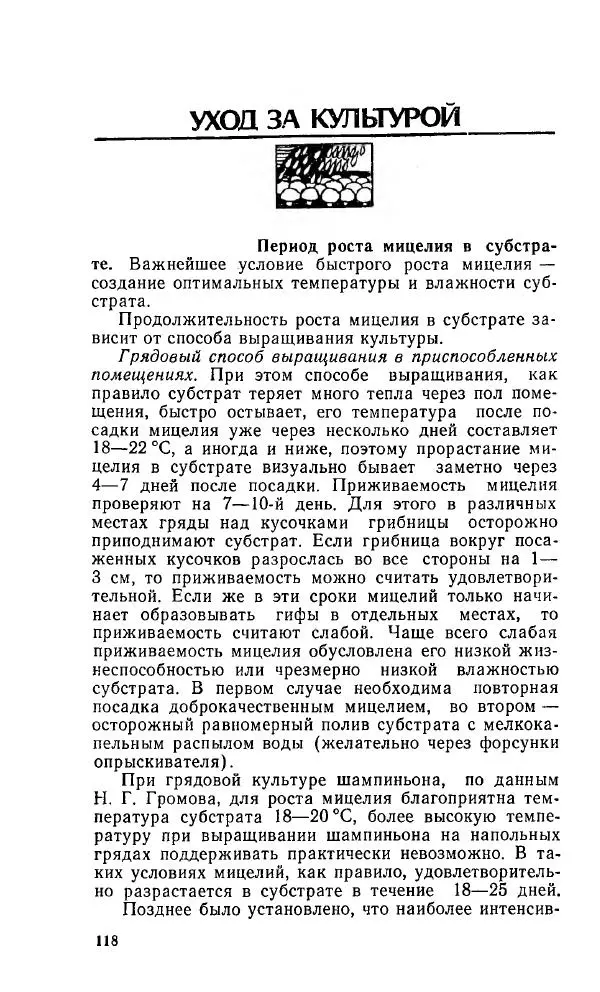 Л. Девочкин - Шампиньоны - Страница № 118