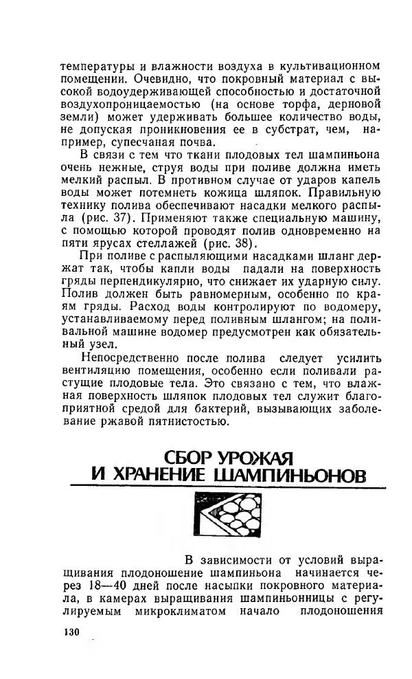 Л. Девочкин - Шампиньоны - Страница № 130