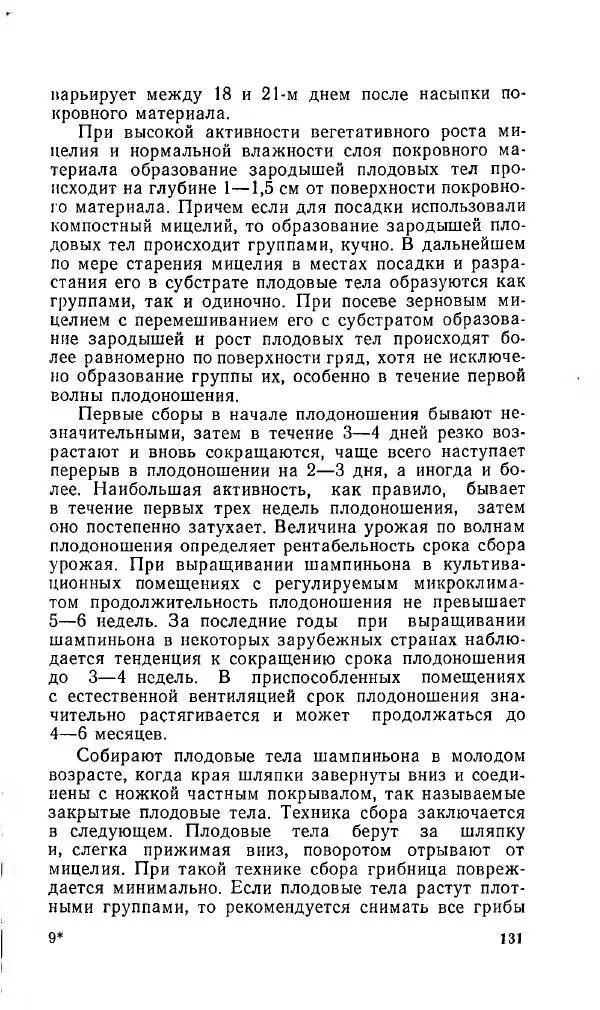 Л. Девочкин - Шампиньоны - Страница № 131
