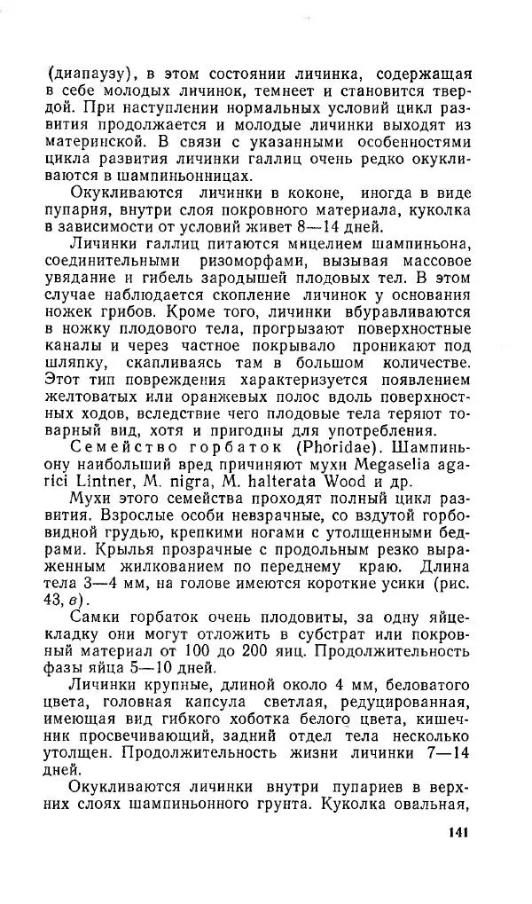 Л. Девочкин - Шампиньоны - Страница № 141