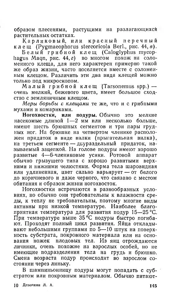 Л. Девочкин - Шампиньоны - Страница № 145