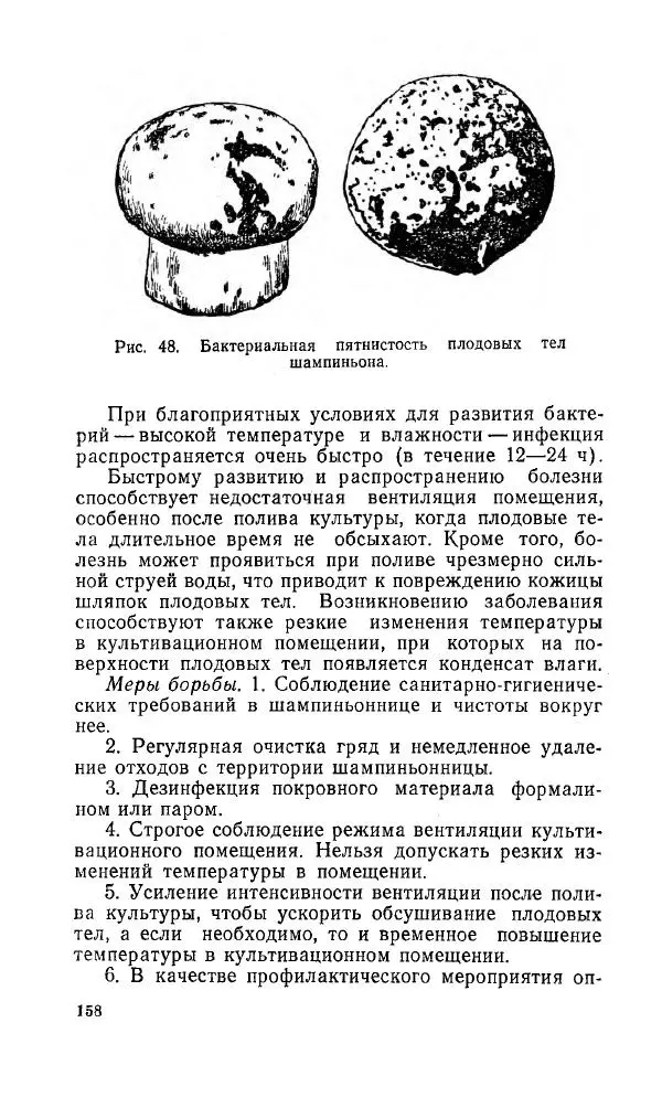 Л. Девочкин - Шампиньоны - Страница № 158